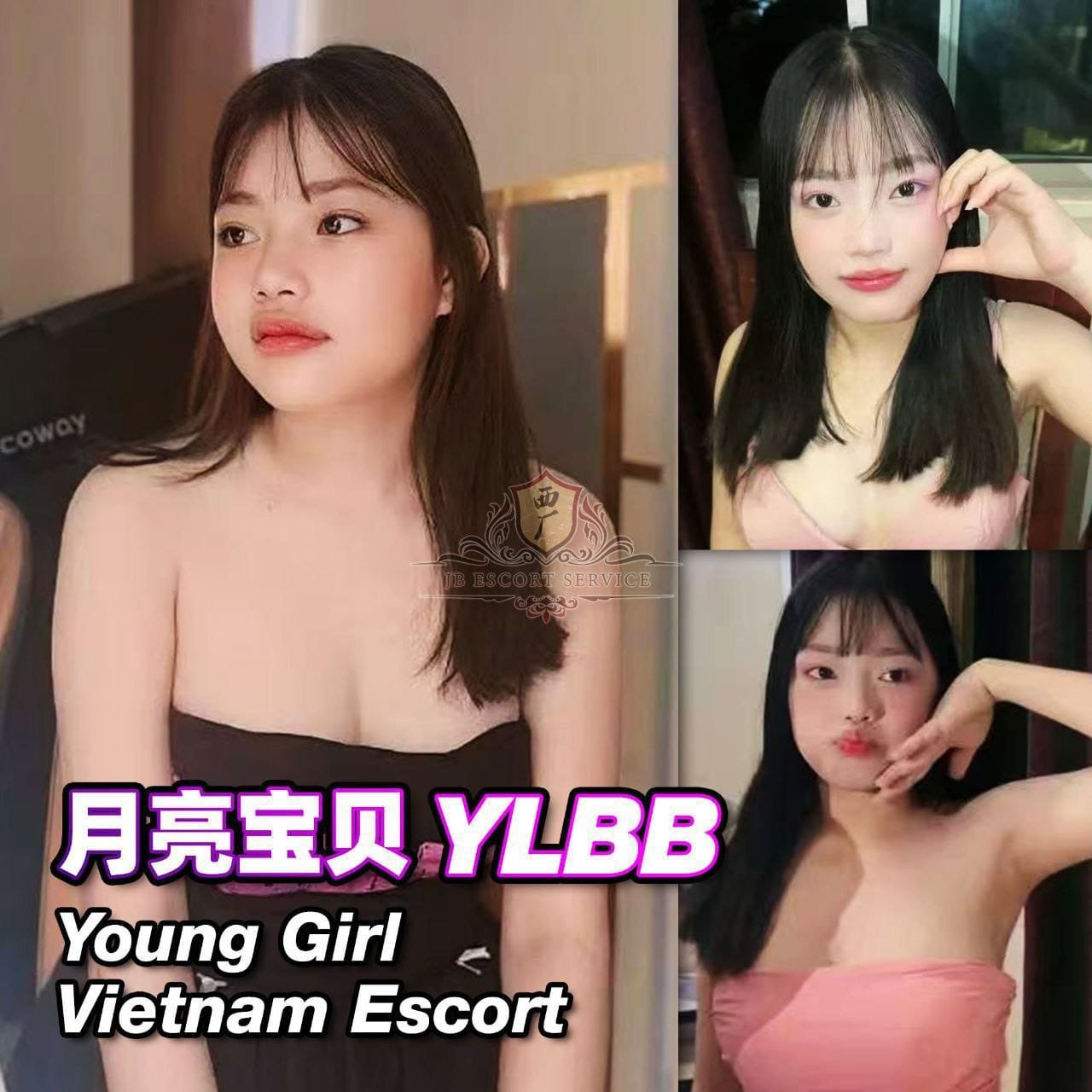 月亮宝贝 YLBB JB Escort