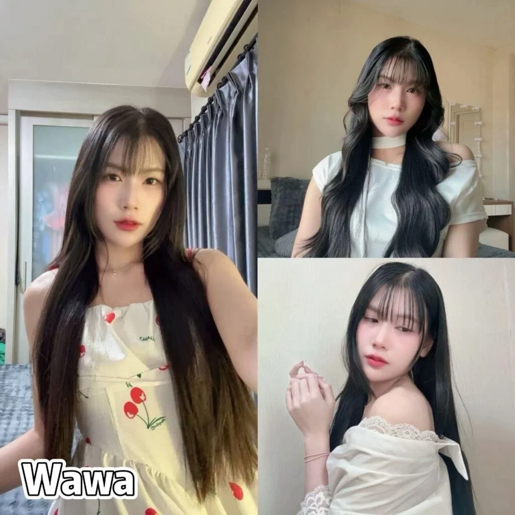 Wawa-JB-Escort Exclutive